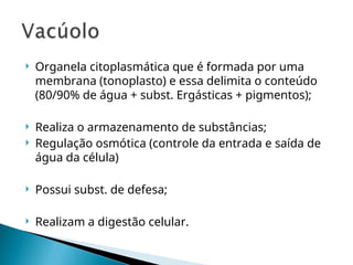  Organela citoplasmática que é formada por uma
membrana (tonoplasto) e essa delimita o conteúdo
(80/90% de água + subst. Ergásticas + pigmentos);
 Realiza o armazenamento de substâncias;
 Regulação osmótica (controle da entrada e saída de
água da célula)
 Possui subst. de defesa;
 Realizam a digestão celular.
 