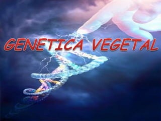 GENETICA VEGETAL 