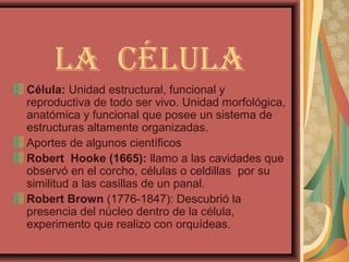 La céLuLa
Célula: Unidad estructural, funcional y
reproductiva de todo ser vivo. Unidad morfológica,
anatómica y funcional que posee un sistema de
estructuras altamente organizadas.
Aportes de algunos científicos
Robert Hooke (1665): llamo a las cavidades que
observó en el corcho, células o celdillas por su
similitud a las casillas de un panal.
Robert Brown (1776-1847): Descubrió la
presencia del núcleo dentro de la célula,
experimento que realizo con orquídeas.
 