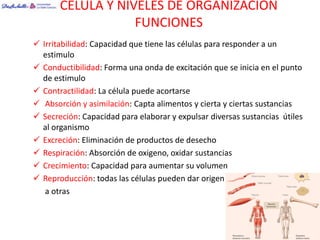 CELULA Y NIVELES DE ORGANIZACIÓN
                   FUNCIONES
 Irritabilidad: Capacidad que tiene las células para responder a un
  estimulo
 Conductibilidad: Forma una onda de excitación que se inicia en el punto
  de estimulo
 Contractilidad: La célula puede acortarse
 Absorción y asimilación: Capta alimentos y cierta y ciertas sustancias
 Secreción: Capacidad para elaborar y expulsar diversas sustancias útiles
  al organismo
 Excreción: Eliminación de productos de desecho
 Respiración: Absorción de oxigeno, oxidar sustancias
 Crecimiento: Capacidad para aumentar su volumen
 Reproducción: todas las células pueden dar origen
   a otras
 