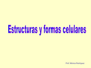 Estructuras y formas celulares  Prof: Mónica Rodríguez   