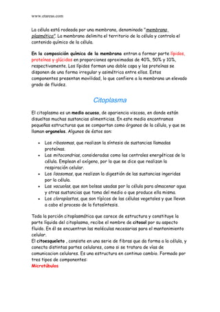 www.etareas.com


La célula está rodeada por una membrana, denominada "membrana
plasmática". La membrana delimita el territorio de la célula y controla el
contenido químico de la célula.

En la composición química de la membrana entran a formar parte lípidos,
proteínas y glúcidos en proporciones aproximadas de 40%, 50% y 10%,
respectivamente. Los lípidos forman una doble capa y las proteínas se
disponen de una forma irregular y asimétrica entre ellos. Estos
componentes presentan movilidad, lo que confiere a la membrana un elevado
grado de fluidez.


                               Citoplasma
El citoplasma es un medio acuoso, de apariencia viscosa, en donde están
disueltas muchas sustancias alimenticias. En este medio encontramos
pequeñas estructuras que se comportan como órganos de la célula, y que se
llaman organelos. Algunos de éstos son:

   •   Los ribosomas, que realizan la síntesis de sustancias llamadas
       proteínas.
   •   Las mitocondrias, consideradas como las centrales energéticas de la
       célula. Emplean el oxígeno, por lo que se dice que realizan la
       respiración celular.
   •   Los lisosomas, que realizan la digestión de las sustancias ingeridas
       por la célula.
   •   Las vacuolas, que son bolsas usadas por la célula para almacenar agua
       y otras sustancias que toma del medio o que produce ella misma.
   •   Los cloroplastos, que son típìcos de las células vegetales y que llevan
       a cabo el proceso de la fotosíntesis.

Toda la porción citoplasmática que carece de estructura y constituye la
parte líquida del citoplasma, recibe el nombre de citosol por su aspecto
fluido. En él se encuentran las moléculas necesarias para el mantenimiento
celular.
El citoesqueleto , consiste en una serie de fibras que da forma a la célula, y
conecta distintas partes celulares, como si se tratara de vías de
comunicacion celulares. Es una estructura en continuo cambio. Formado por
tres tipos de componentes:
Microtúbulos
 