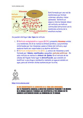 www.etareas.com


                                              Está formado por una red de
                                              membranas que forman
                                              cisternas, sáculos y tubos
                                              aplanados. Delimita un
                                              espacio interno llamado lúmen
                                              del retículo y se halla en
                                              continuidad estructural con la
                                              membrana externa de la
                                              envoltura nuclear.


Se pueden distinguir dos tipos de retículo:

   1. El Retículo endoplasmático rugoso (R.E.R.), presenta ribosomas unidos
      a su membrana. En él se realiza la síntesis protéica. Las proteínas
      sintetizadas por los ribosomas, pasan al lúmen del retículo y aquí
      maduran hasta ser exportadas a su destino definitivo.
   2. El Retículo endoplasmático liso (R.E.L.), carece de ribosomas y está
      formado por túbulos ramificados y pequeñas vesículas esféricas. En
      este retículo se realiza la síntesis de lípidos. En el reticulo de las
      células del hígado tiene lugar la detoxificación, que consiste en
      modificar a una droga o metabolito insoluble en agua,en soluble en
      agua, para así eliminar dichas sustancias por la orina.




http://www.etareas.com/

      SI NO ENCONTRASTE EL EJERCICIO O EL TEMA QUE BUSCABAS,
      NO TE PREOCUPES INGRESA A NUESTRO SERVICIO PREMIUM Y EN MENOS
      DE 6 HORAS HABILES TENDRAS LAS RESPUESTA A TUS DUDAS EN TU
      CORREO ELECTRONICO DESDE LA COMODIDA DE TU HOGAR
 