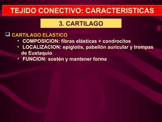 TEJIDO CONECTIVO: CARACTERISTICAS
3. CARTILAGO
 CARTILAGO ELASTICO
• COMPOSICION: fibras elásticas + condrocitos
• LOCALIZACION: epiglotis, pabellón auricular y trompas
de Eustaquio
• FUNCION: sostén y mantener forma
 