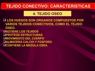 TEJIDO CONECTIVO: CARACTERISTICAS
4. TEJIDO OSEO
 LOS HUESOS SON ORGANOS COMPUESTOS POR
VARIOS TEJIDOS CONECTIVOS, COMO EL TEJIDO
OSEO.
SOTIENE LOS TEJIDOS
PROTEGE ESTRUCTURAS
MOVIMIENTO DEL CUERPO
ALMACENA CALCIO Y FOSFORO
CONTIENE LA MEDULA OSEA
 