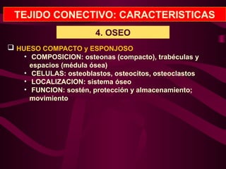 TEJIDO CONECTIVO: CARACTERISTICAS
4. OSEO
 HUESO COMPACTO y ESPONJOSO
• COMPOSICION: osteonas (compacto), trabéculas y
espacios (médula ósea)
• CELULAS: osteoblastos, osteocitos, osteoclastos
• LOCALIZACION: sistema óseo
• FUNCION: sostén, protección y almacenamiento;
movimiento
 