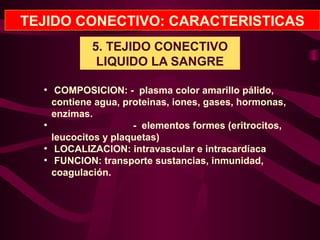 TEJIDO CONECTIVO: CARACTERISTICAS
5. TEJIDO CONECTIVO
LIQUIDO LA SANGRE
●
COMPOSICION: - plasma color amarillo pálido,
contiene agua, proteinas, iones, gases, hormonas,
enzimas.
●
- elementos formes (eritrocitos,
leucocitos y plaquetas)
●
LOCALIZACION: intravascular e intracardíaca
●
FUNCION: transporte sustancias, inmunidad,
coagulación.
 