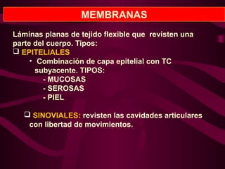 MEMBRANAS
Láminas planas de tejido flexible que revisten una
parte del cuerpo. Tipos:
 EPITELIALES
• Combinación de capa epitelial con TC
subyacente. TIPOS:
- MUCOSAS
- SEROSAS
- PIEL
 SINOVIALES: revisten las cavidades articulares
con libertad de movimientos.
 