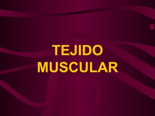 TEJIDO
MUSCULAR
 