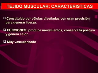 TEJIDO MUSCULAR: CARACTERISTICAS
 Constituído por células diseñadas con gran precisión
para generar fuerza.
 FUNCIONES: produce movimientos, conserva la postura
y genera calor.
 Muy vascularizado
 