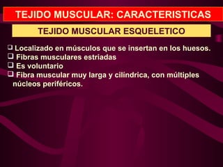TEJIDO MUSCULAR: CARACTERISTICAS
 Localizado en músculos que se insertan en los huesos.
 Fibras musculares estriadas
 Es voluntario
 Fibra muscular muy larga y cilíndrica, con múltiples
núcleos periféricos.
TEJIDO MUSCULAR ESQUELETICO
 