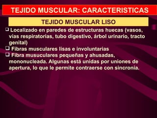 TEJIDO MUSCULAR: CARACTERISTICAS
 Localizado en paredes de estructuras huecas (vasos,
vías respiratorias, tubo digestivo, árbol urinario, tracto
genital)
 Fibras musculares lisas e involuntarias
 Fibra musuculares pequeñas y ahusadas,
mononucleada. Algunas está unidas por uniones de
apertura, lo que le permite contraerse con sincronía.
TEJIDO MUSCULAR LISO
 