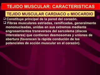 TEJIDO MUSCULAR: CARACTERISTICAS
 Constituye principal de la pared del corazón.
 Fibras musculares estriadas, ramificadas, generalmente
mononucleadas, unidas en sus extremos medisnte
engrosamientos transversos del sarcolema (discos
intercalares) que contienen desmosomas y uniones de
abertura (favorecen la rápida condución de los
potenciales de acción muscular en el corazón).
TEJIDO MUSCULAR CARDIACO o MIOCARDIO
 