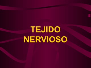 TEJIDO
NERVIOSO
 