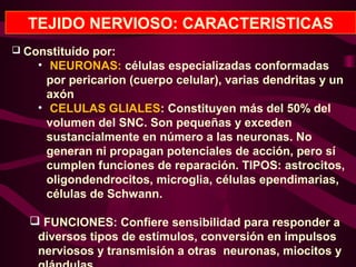 TEJIDO NERVIOSO: CARACTERISTICAS
 Constituído por:
• NEURONAS: células especializadas conformadas
por pericarion (cuerpo celular), varias dendritas y un
axón
• CELULAS GLIALES: Constituyen más del 50% del
volumen del SNC. Son pequeñas y exceden
sustancialmente en número a las neuronas. No
generan ni propagan potenciales de acción, pero sí
cumplen funciones de reparación. TIPOS: astrocitos,
oligondendrocitos, microglia, células ependimarias,
células de Schwann.
 FUNCIONES: Confiere sensibilidad para responder a
diversos tipos de estímulos, conversión en impulsos
nerviosos y transmisión a otras neuronas, miocitos y
 