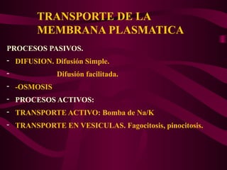 TRANSPORTE DE LA
MEMBRANA PLASMATICA
PROCESOS PASIVOS.
- DIFUSION. Difusión Simple.
- Difusión facilitada.
- -OSMOSIS
- PROCESOS ACTIVOS:
- TRANSPORTE ACTIVO: Bomba de Na/K
- TRANSPORTE EN VESICULAS. Fagocitosis, pinocitosis.
 