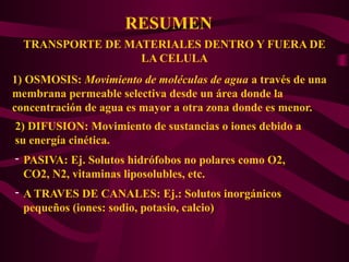 RESUMEN
TRANSPORTE DE MATERIALES DENTRO Y FUERA DE
LA CELULA
1) OSMOSIS: Movimiento de moléculas de agua a través de una
membrana permeable selectiva desde un área donde la
concentración de agua es mayor a otra zona donde es menor.
2) DIFUSION: Movimiento de sustancias o iones debido a
su energía cinética.
- PASIVA: Ej. Solutos hidrófobos no polares como O2,
CO2, N2, vitaminas liposolubles, etc.
- A TRAVES DE CANALES: Ej.: Solutos inorgánicos
pequeños (iones: sodio, potasio, calcio)
 