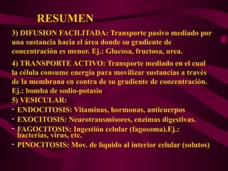 RESUMEN
3) DIFUSION FACILITADA: Transporte pasivo mediado por
una sustancia hacia el área donde su gradiente de
concentración es menor. Ej.: Glucosa, fructosa, urea.
4) TRANSPORTE ACTIVO: Transporte mediado en el cual
la célula consume energía para movilizar sustancias a través
de la membrana en contra de su gradiente de concentración.
Ej.: bomba de sodio-potasio
5) VESICULAR:
- ENDOCITOSIS: Vitaminas, hormonas, anticuerpos
- EXOCITOSIS: Neurotransmisores, enzimas digestivas.
- FAGOCITOSIS: Ingestión celular (fagosoma).Ej.:
bacterias, virus, etc.
- PINOCITOSIS: Mov. de líquido al interior celular (solutos)
 