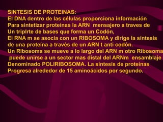 SINTESIS DE PROTEINAS:
El DNA dentro de las células proporciona información
Para sintetizar proteínas la ARN mensajero a traves de
Un triplrte de bases que forma un Codón,
El RNA m se asocia con un RIBOSOMA y dirige la síntesis
de una proteína a través de un ARN t anti codón.
Un Ribosoma se mueve a lo largo del ARN m otro Ribosoma
puede unirse a un sector mas distal del ARNm ensamblaje
Denominado POLIRIBOSOMA. La síntesis de proteínas
Progresa alrededor de 15 aminoácidos por segundo.
 