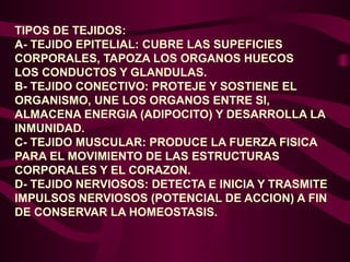 TIPOS DE TEJIDOS:
A- TEJIDO EPITELIAL: CUBRE LAS SUPEFICIES
CORPORALES, TAPOZA LOS ORGANOS HUECOS
LOS CONDUCTOS Y GLANDULAS.
B- TEJIDO CONECTIVO: PROTEJE Y SOSTIENE EL
ORGANISMO, UNE LOS ORGANOS ENTRE SI,
ALMACENA ENERGIA (ADIPOCITO) Y DESARROLLA LA
INMUNIDAD.
C- TEJIDO MUSCULAR: PRODUCE LA FUERZA FISICA
PARA EL MOVIMIENTO DE LAS ESTRUCTURAS
CORPORALES Y EL CORAZON.
D- TEJIDO NERVIOSOS: DETECTA E INICIA Y TRASMITE
IMPULSOS NERVIOSOS (POTENCIAL DE ACCION) A FIN
DE CONSERVAR LA HOMEOSTASIS.
 