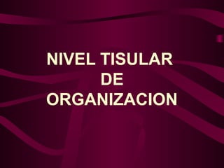 NIVEL TISULAR
DE
ORGANIZACION
 