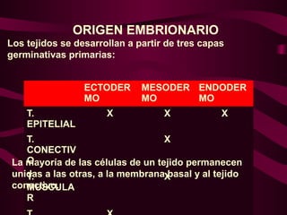 ORIGEN EMBRIONARIO
Los tejidos se desarrollan a partir de tres capas
germinativas primarias:
ECTODER
MO
MESODER
MO
ENDODER
MO
T.
EPITELIAL
X X X
T.
CONECTIV
O
X
T.
MUSCULA
R
X
La mayoría de las células de un tejido permanecen
unidas a las otras, a la membrana basal y al tejido
conectivo.
 
