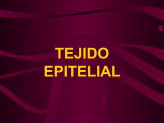 TEJIDO
EPITELIAL
 