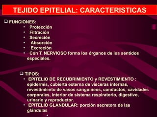TEJIDO EPITELIAL: CARACTERISTICAS
 FUNCIONES:
●
Protección
●
Filtración
●
Secreción
●
Absorción
●
Excreción
●
Con T. NERVIOSO forma los órganos de los sentidos
especiales.
 TIPOS:
●
EPITELIO DE RECUBRIMIENTO y REVESTIMIENTO :
epidermis, cubierta externa de vísceras internas,
revestimiento de vasos sanguíneos, conductos, cavidades
corporales, interior de sistema respiratorio, digestivo,
urinario y reproductor.
●
EPITELIO GLANDULAR: porción secretora de las
glándulas
●
 