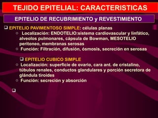 TEJIDO EPITELIAL: CARACTERISTICAS
 EPITELIO PAVIMENTOSO SIMPLE: células planas
o Localización: ENDOTELIO:sistema cardiovascular y linfático,
alveolos pulmonares, cápsula de Bowman, MESOTELIO
peritoneo, membranas serosas
o Función: Filtración, difusión, ósmosis, secreción en serosas
 EPITELIO CUBICO SIMPLE
o Localización: superficie de ovario, cara ant. de cristalino,
túbulos renales, conductos glandulares y porción secretora de
glándula tiroides
o Función: secreción y absorción

EPITELIO DE RECUBRIMIENTO y REVESTIMIENTO
 