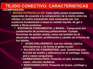 TEJIDO CONECTIVO: CARACTERISTICAS
COMPOSICION:
 MATRIZ EXTRACELULAR: Cada tejido posee propiedades
especiales de acuerdo a la composición de la matriz entre las
células. La matriz extracelular esta compuesta por una
sustancia fundamental o basal en estado liquido, de gel o
solido y fibras proteicas.
 SUSTANCIA FUNDAMENTAL o BASAL: Compuesta por
combinación de proteínasy polisacáridos. Cumple
funciones de sostén celular, como así también en el
desarrollo, migración, proliferación y cambio de la forma de
los tejidos.
 ACIDO HIALURONICO: une las células, lubrica
articulaciones y da forma al globo ocular.
 SULFATO DE CONDROITINA: sust. Gelatinosa con
función de sostén y adherencia en el cartílago, hueso,
piel y vasos sanguíneos.
DERMATANSULFATO: Presente en piel, tendones,
vasos, válvulas cardíacas.
 KERATANSULFATO: Presente en hueso, cartílago y
córnea.
 