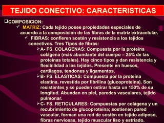TEJIDO CONECTIVO: CARACTERISTICAS
COMPOSICION:
 MATRIZ: Cada tejido posee propiedades especiales de
acuerdo a la composición de las fibras de la matriz extracelular.
 FIBRAS: confieren sostén y resistencia a los tejidos
conectivos. Tres Tipos de fibras:
A- FS. COLAGENAS: Compuesta por la proteína
colágena (más abundante del cuerpo – 25% de las
proteínas totales). Hay cinco tipos y dan resistencia y
flexibilidad a los tejidos. Presente en huesos,
cartílagos, tendones y ligamentos.
B- FS. ELASTICAS: Compuesta por la proteína
elastina, revestida por fibrilina (glucoproteína). Son
resistentes y se pueden estirar hasta un 150% de su
longitud. Abundan en piel, paredes vasculares, tejido
pulmonar.
C- FS. RETICULARES: Compuestas por colágena y un
recubrimiento de glucoproteína; sostienen pared
vascular, forman una red de sostén en tejido adiposo,
fibras nerviosas, tejido muscular liso y estriado.
 