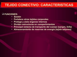 TEJIDO CONECTIVO: CARACTERISTICAS
 FUNCIONES:
●
Sostén
●
Fortalece otros tejidos corporales
●
Protege y aísla órganos internos
●
Dividen estructuras en compartimientos
●
Principal sistema de transporte del cuerpo (sangre, linfa)
●
Almacenamiento de reservas de energía (tejido adiposo)
 