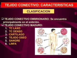 TEJIDO CONECTIVO: CARACTERISTICAS
CLASIFICACION
 TEJIDO CONECTIVO EMBRIONARIO: Se encuentra
principalmente en el embrión.
 TEJIDO CONECTIVO MADURO:
1. TC LAXO
2. TC DENSO
3. CARTILAGO
4. TEJIDO OSEO
5. SANGRE
6. LINFA
 