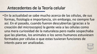 Antecedentes de la Teoría celular
•En la actualidad se sabe mucho acerca de las células, de sus
formas, fisiología e importancia, sin embargo, no siempre fue
así. En el pasado, cuando fueron descubiertas (gracias a la
creación del microscopio) la gente veía a las células como
una mera curiosidad de la naturaleza pero nadie sospechaba
que las plantas, los animales o los seres humanos estuviesen
formados por células o que estas tuvieran funciones de
interés para ser analizadas.
 