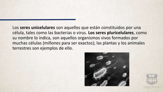 Los seres unicelulares son aquellos que están constituidos por una
célula, tales como las bacterias o virus. Los seres pluricelulares, como
su nombre lo indica, son aquellos organismos vivos formados por
muchas células (millones para ser exactos); las plantas y los animales
terrestres son ejemplos de ello.
 