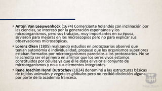 • Anton Van Leeuwenhock (1674) Comerciante holandés con inclinación por
las ciencias, se interesó por la generación espontánea y los
microorganismos, pero sus trabajos, muy importantes en su época,
sirvieron para mejoras en los microscopios pero no para explicar sus
observaciones microscópicas.
• Lorenz Oken (1805) realizando estudios en protozoarios observó que
tenían autonomía e individualidad, propuso que los organismos superiores
estaban formados por microorganismos parecidos a los protozoarios. No se
le acredita ser el primero en afirmar que los seres vivos estamos
constituidos por células ya que él le daba el valor al conjunto de
microorganismos y no a sus elementos integrantes.
• Rene Joachim Henri Dutrochev (1824) denominó a las estructuras básicas
de tejidos animales y vegetales glóbulos pero no recibió distinción alguna
por parte de la academia francesa.
 