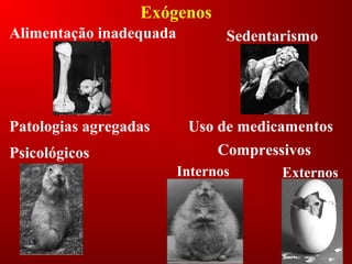 Exógenos
Alimentação inadequada Sedentarismo
Patologias agregadas Uso de medicamentos
Psicológicos
Externos
Compressivos
Internos
 