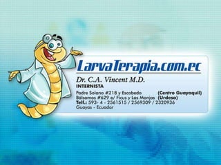 Celulitis necrotizante.