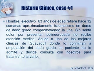 Historia Clínica, caso #1Hombre, ejecutivo  63 años de edad refiere hace 12 semanas aproximadamente traumatismo en dorso de dedo gordo comprometiendo la uña. Sin sentir dolor por presentar polineuropatíano recibe atención médica. Acude a una de las mejores clínicas de Guayaquil donde lo conminan a amputación del dedo gordo, el paciente no lo admite y decide consulta con nosotros para tratamiento larvario. Dr. VINCENT,  M.D