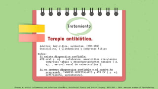 Tratamiento
Terapia antibiótica.
Adultos: Ampicilina- sulbactam, [TMP-SMX],
Doxiciclina, ò Clindamicina y compresas tibias
Niños:
Si existe diagnostico confiable:
ATB oral p. ej. , cefalexina, amoxicilina clavulanico
compresas tibias y descongestionantes nasales ( p.
ej. , aerosol nasal de oximetazolina ).
Si no tenemos diagnostico confiable y el cuadro ha
progresado: INGRESO HOSPITALARIO y ATB EV ( p. ej.
ceftriaxona, vancomicina).
Chapter 4: orbital inflammatory and infectious disorders. Oculofacial Plastic and Orbital Surgery. BSCS 2023 – 2024. American Academy Of Ophthalmology
 