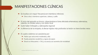 MANIFESTACIONES CLÍNICAS
 Se localiza con mayor frecuencia en miembros inferiores
 Otros sitios: miembros superiores, cabeza y cuello
 El inicio del episodio es brusco, observándose el área afectada eritematosa, edematosa,
caliente, sin límites netos y con dolor local
 Suele haber linfangitis y adenopatía regional
 A diferencia de la erisipela, al afectar tejidos más profundos la lesión no tiene bordes netos
 El cuadro sistémico se caracteriza por
 Fiebre que varía entre moderada y alta
 Puede presentar escalofríos y signos de sepsis
 Shock es infrecuente (< 5%) y se asocia con aumento de mortalidad
consenso SADI-SAM-SAD-CACCVE . 2010
 