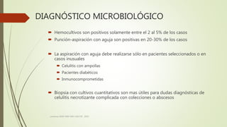 DIAGNÓSTICO MICROBIOLÓGICO
 Hemocultivos son positivos solamente entre el 2 al 5% de los casos
 Punción-aspiración con aguja son positivas en 20-30% de los casos
 La aspiración con aguja debe realizarse sólo en pacientes seleccionados o en
casos inusuales
 Celulitis con ampollas
 Pacientes diabéticos
 Inmunocomprometidas
 Biopsia con cultivos cuantitativos son mas útiles para dudas diagnósticas de
celulitis necrotizante complicada con colecciones o abscesos
consenso SADI-SAM-SAD-CACCVE . 2010
 