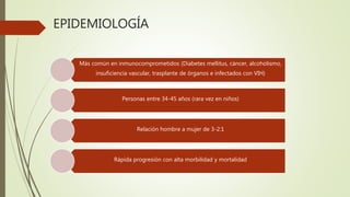 Más común en inmunocomprometidos (Diabetes mellitus, cáncer, alcoholismo,
insuficiencia vascular, trasplante de órganos e infectados con VIH)
Personas entre 34-45 años (rara vez en niños)
Relación hombre a mujer de 3-2:1
Rápida progresión con alta morbilidad y mortalidad
EPIDEMIOLOGÍA
 