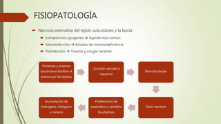 FISIOPATOLOGÍA
 Necrosis extendida del tejido subcutáneo y la fascia
 Estreptococo pyogenes  Agente más común
 Monoinfección  Estados de inmunodeficiencia
 Polinfección  Trauma y cirugía reciente
Proteínas y enzimas
bacterianas facilitan el
avance por los tejidos
Oclusión vascular e
isquemia
Necrosis tisular
Daño nervioso
Proliferación de
anaerobios y aerobios
facultativos
Acumulación de
hidrogeno, nitrógeno
y metano
 