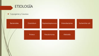 ETIOLOGÍA
 S.pyogenes y S.aureus
Bacteroides Clostridium Peptoestreptococos Enterobacterias Escherichia coli
Proteus Pseudomonas Klebsiella
 