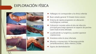 EXPLORACIÓN FÍSICA
 Hallazgos no corresponden a la clínica referida
 Buen estado general  Estado tóxico severo
 Eritema de rápida progresión sin alteración
morfológicas cutáneas
 Coloración morada sobre el sitio de infección
principal para luego aparecer en aspecto de parches
sobre toda el área afectada
 La piel pierde su turgencia y pueden aparecer
crepitaciones
 Anestesia sobre la área infectada
 Miositis o mionecrosis  Descarga pútrida
(amarilloverdoso), dolor intenso y bulas
 Signos de deshidratación
 