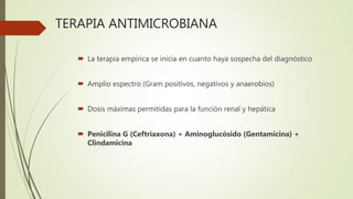 TERAPIA ANTIMICROBIANA
 La terapia empírica se inicia en cuanto haya sospecha del diagnóstico
 Amplio espectro (Gram positivos, negativos y anaerobios)
 Dosis máximas permitidas para la función renal y hepática
 Penicilina G (Ceftriaxona) + Aminoglucósido (Gentamicina) +
Clindamicina
 