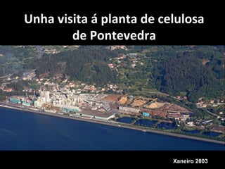 Unha visita á planta de celulosa
de Pontevedra
Xaneiro 2003
 