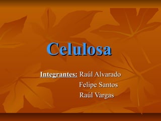 CelulosaCelulosa
Integrantes:Integrantes: Raúl AlvaradoRaúl Alvarado
Felipe SantosFelipe Santos
Raúl VargasRaúl Vargas
 