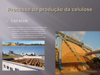1.   CAVACOS
 A madeira é triturada e descascada, produzindo uma
     polpa de menor qualidade, de fibras curtas e
     amarelada. As empresas possuem pátios de
     madeira, onde recebem a madeira retirada das
     florestas de usos múltiplos portadoras do
     certificado FSC® (Forest Stewardship Council®
 